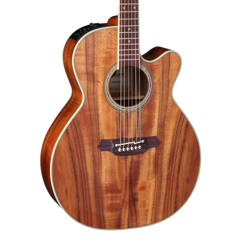マラソン限定!ポイント5倍 TAKAMINE TDP051C SAS | www