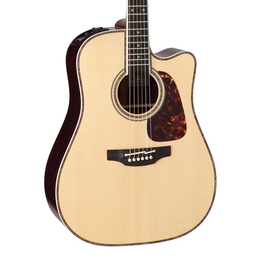 Takamine <br>DMP200 N