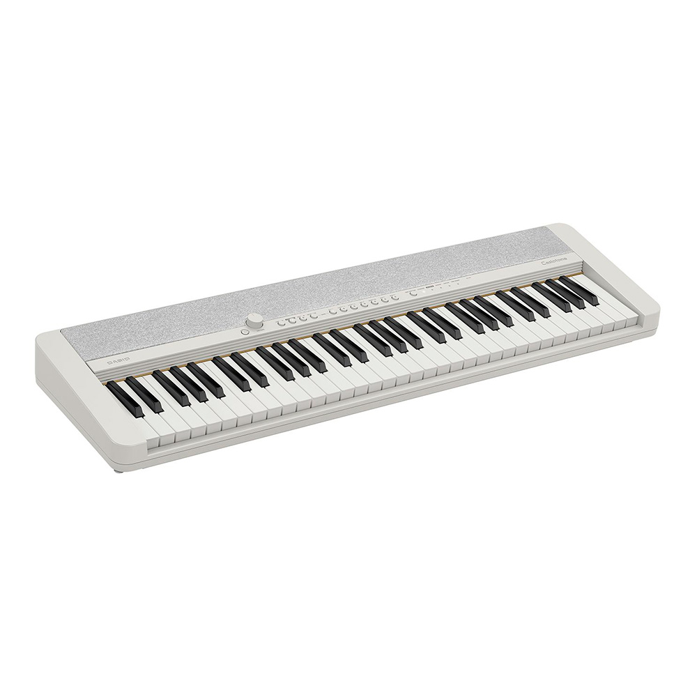 CASIO <br>Casiotone CT-S1WE