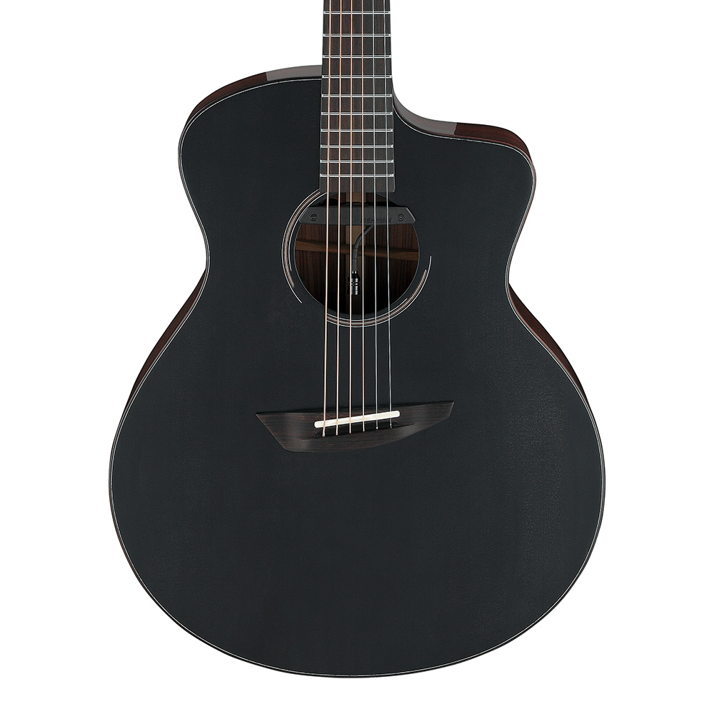 Ibanez <br>SIGNATURE MODEL Jon Gomm JGM10-BSN (Black Satin Top, Natural High Gloss Back and Sides)