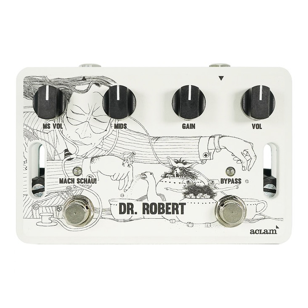 Aclam Guitars <br>Dr. Robert v2