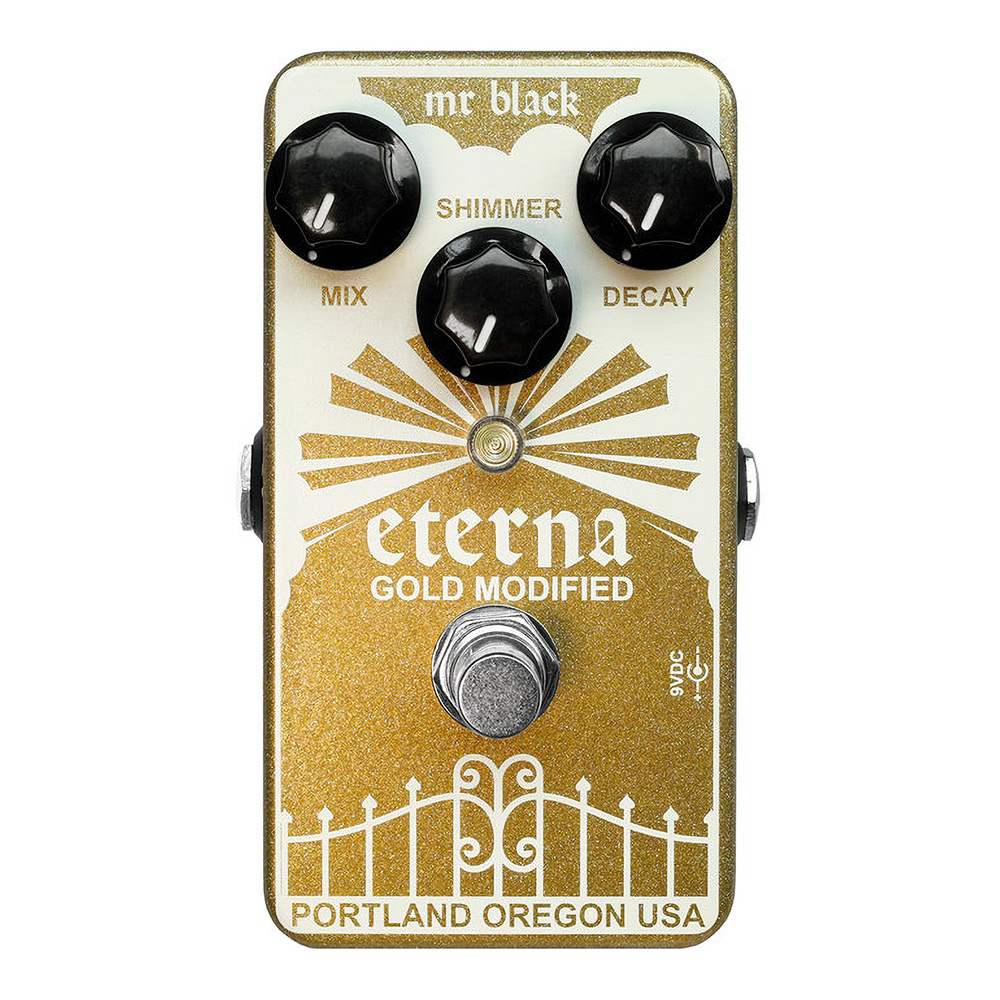 Mr. Black <br>Eterna Gold Modified