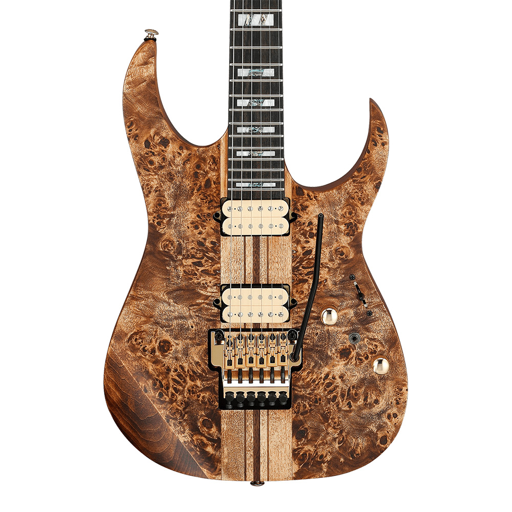 Ibanez <br>RG Premium RGT1220PB-ABS (Antique Brown Stained Flat)