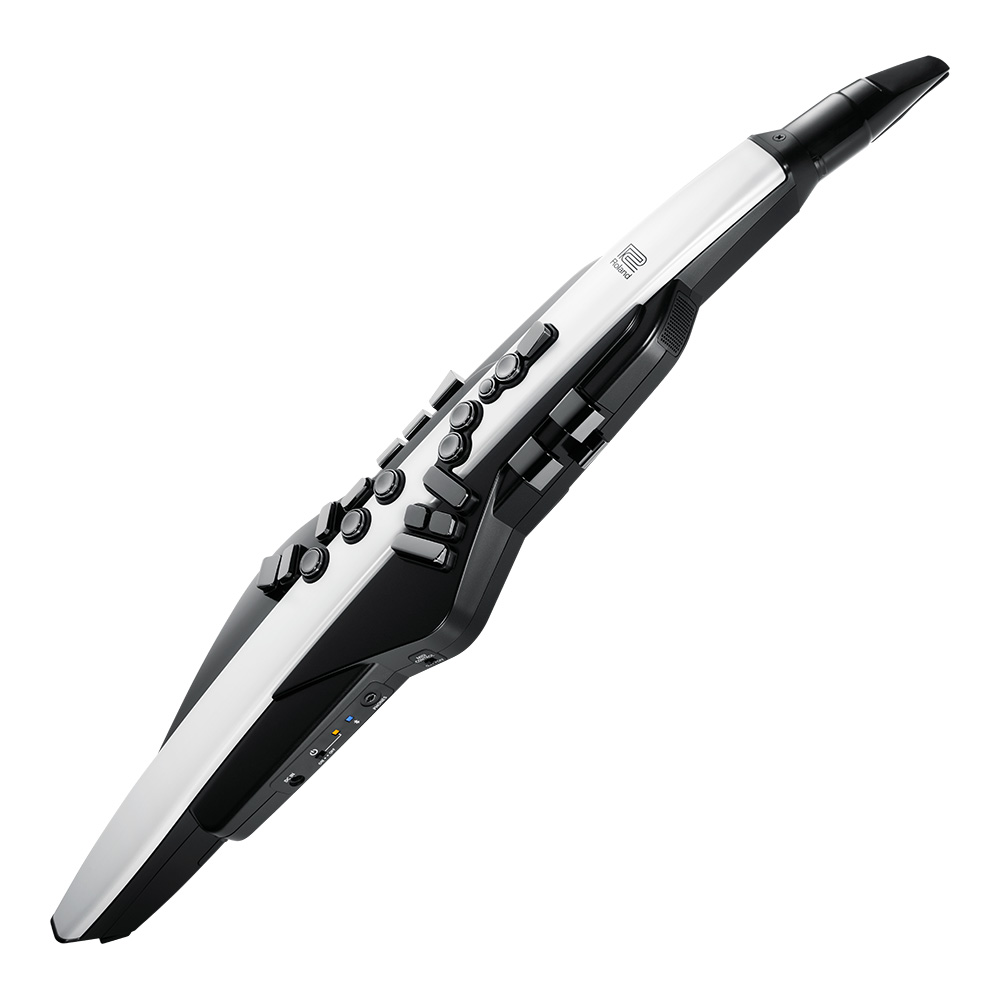 Roland <br>Aerophone AE-20