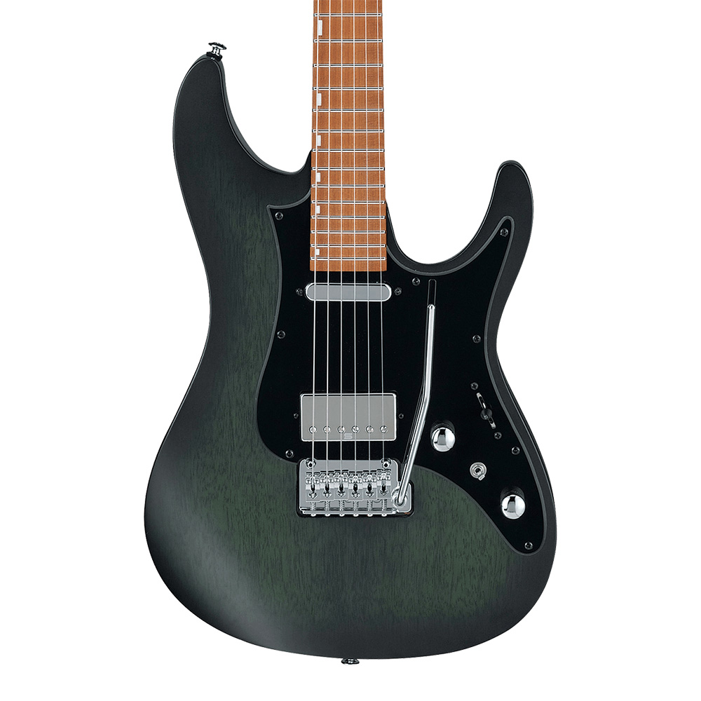 Ibanez <br>SIGNATURE MODEL Erick Hansel EH10-TGM (Transparent Green Matte)