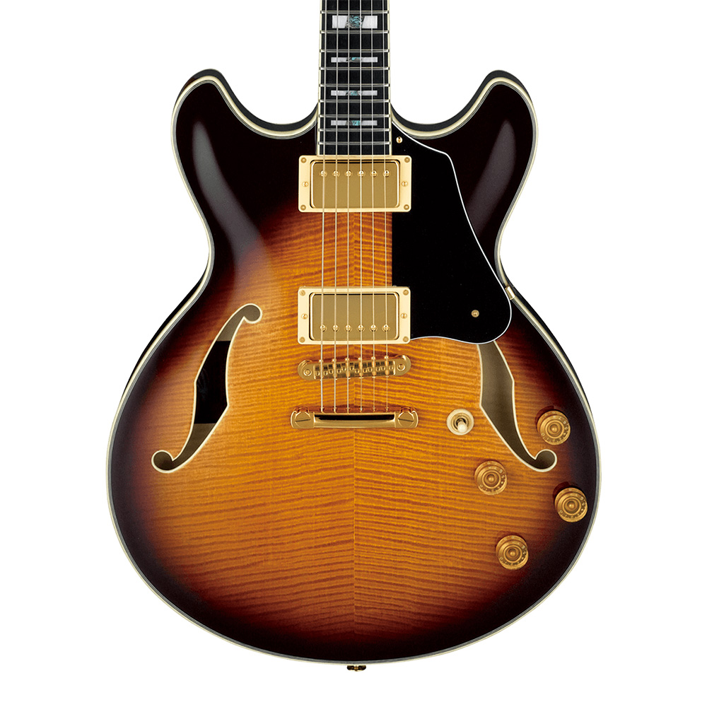 Ibanez <br>SIGNATURE MODEL John Scofield JSM100-VT (Vintage Sunburst)