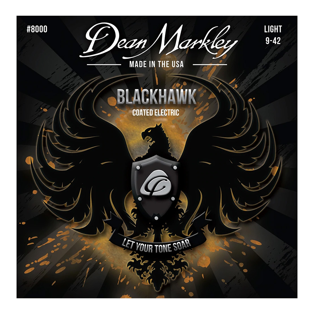Dean Markley <br>DM8000 [Blackhawk Coated / Light 9-42]
