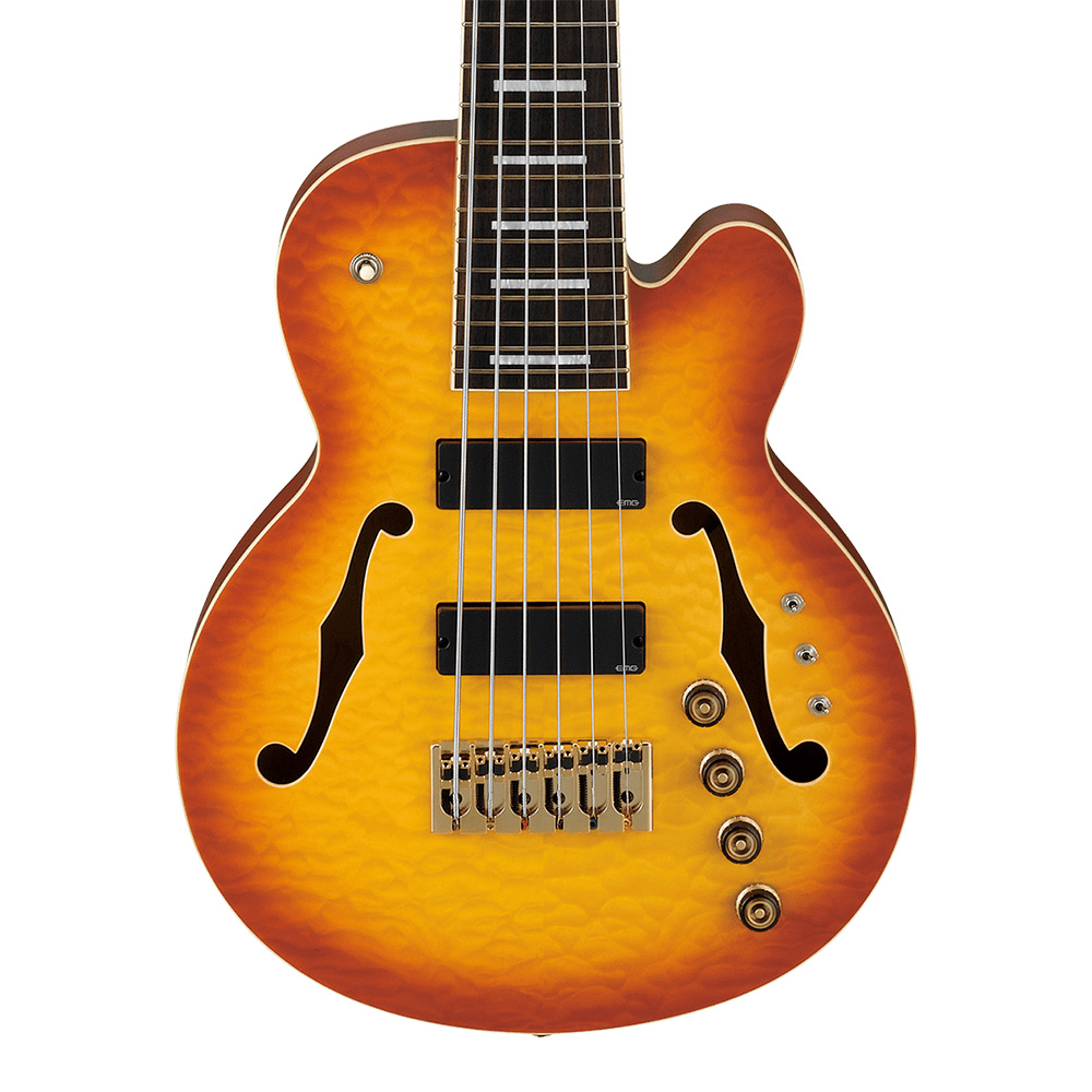 Ibanez <br>SIGNATURE MODEL Stephen 'Thundercat' Bruner TCB1006-ALM (Autumn Leaf Burst Matte)