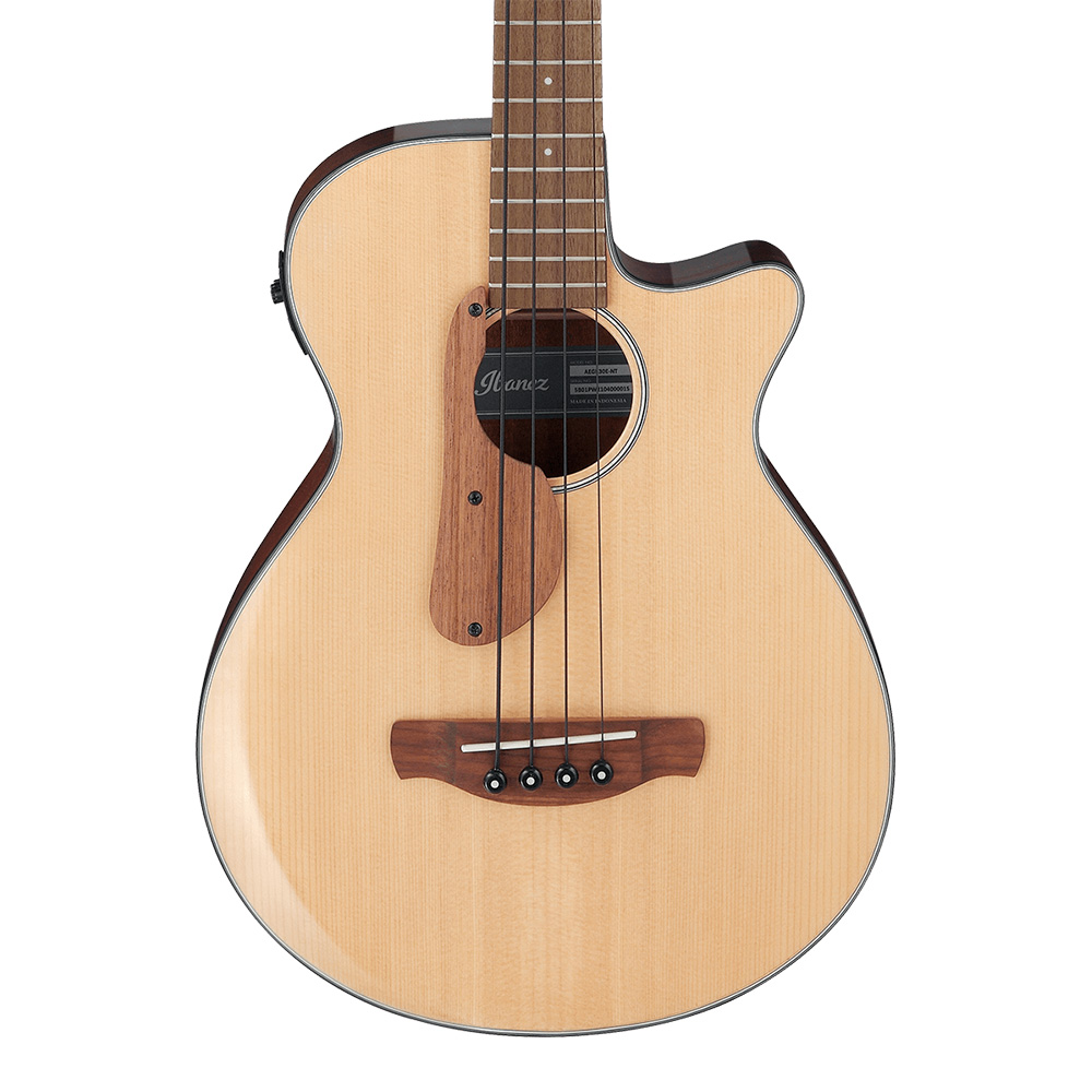 Ibanez <br>ACOUSTIC BASS AEGB30E-NTG (Natural High Gloss)