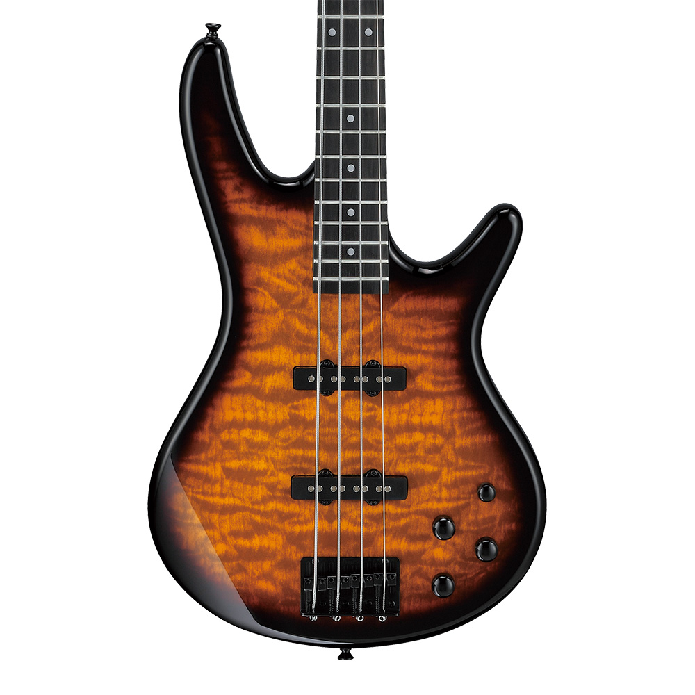 Ibanez <br>Gio GSR280QA-TYS (Transparent Yellow Sunburst)