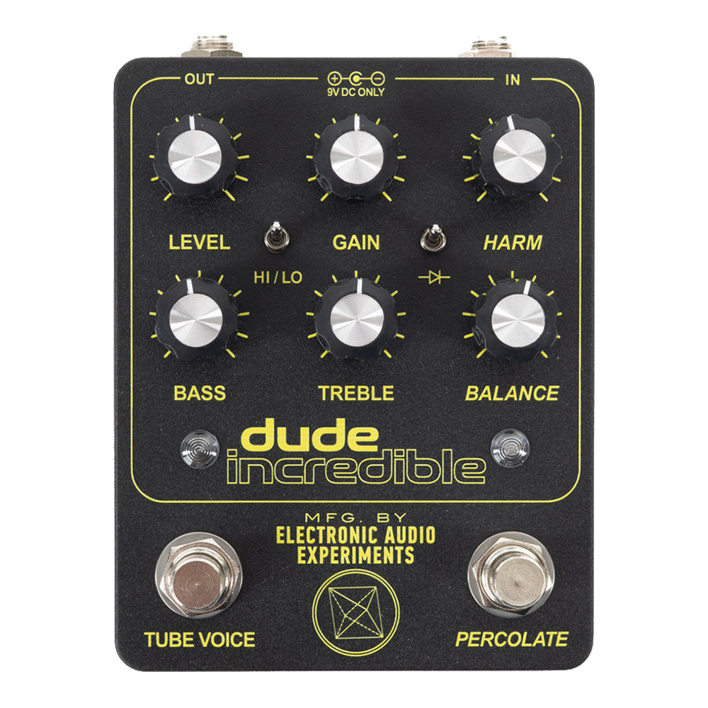 ELECTRONIC AUDIO EXPERIMENTS (EAE) <br>Dude Incredible