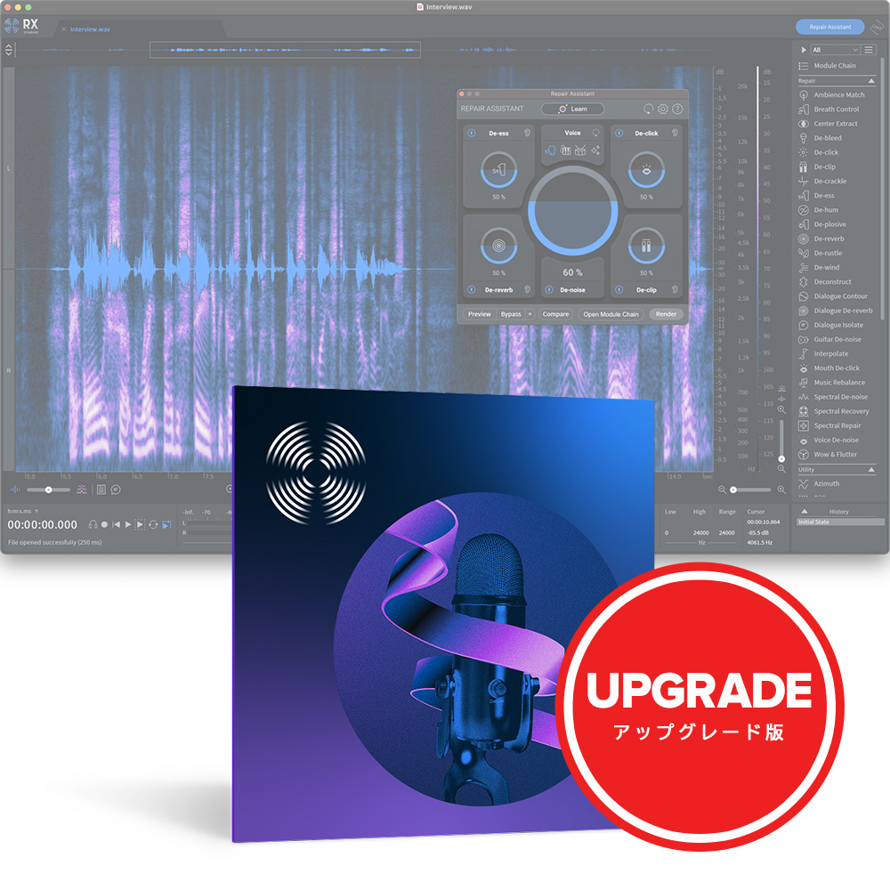 iZotope <br>RX 10 Standard Upgrade from RX Elements/Plugin Pack
