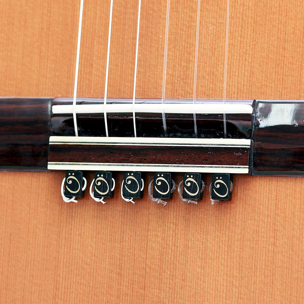 TENOR <br>TST-G BK (Black) [String Tie / NVbNM^[p6Zbg]