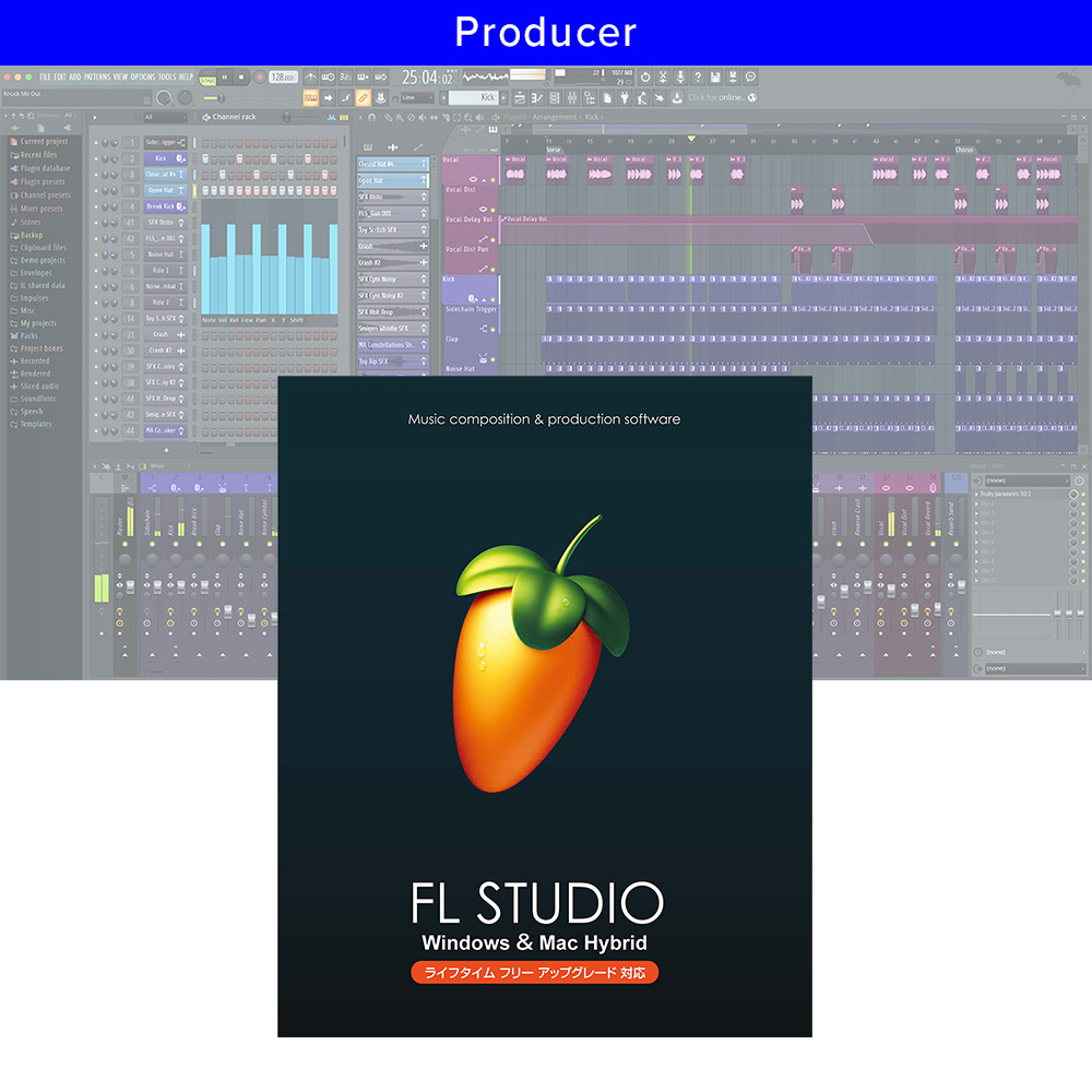 Image-Line <br>FL STUDIO 21 Producer