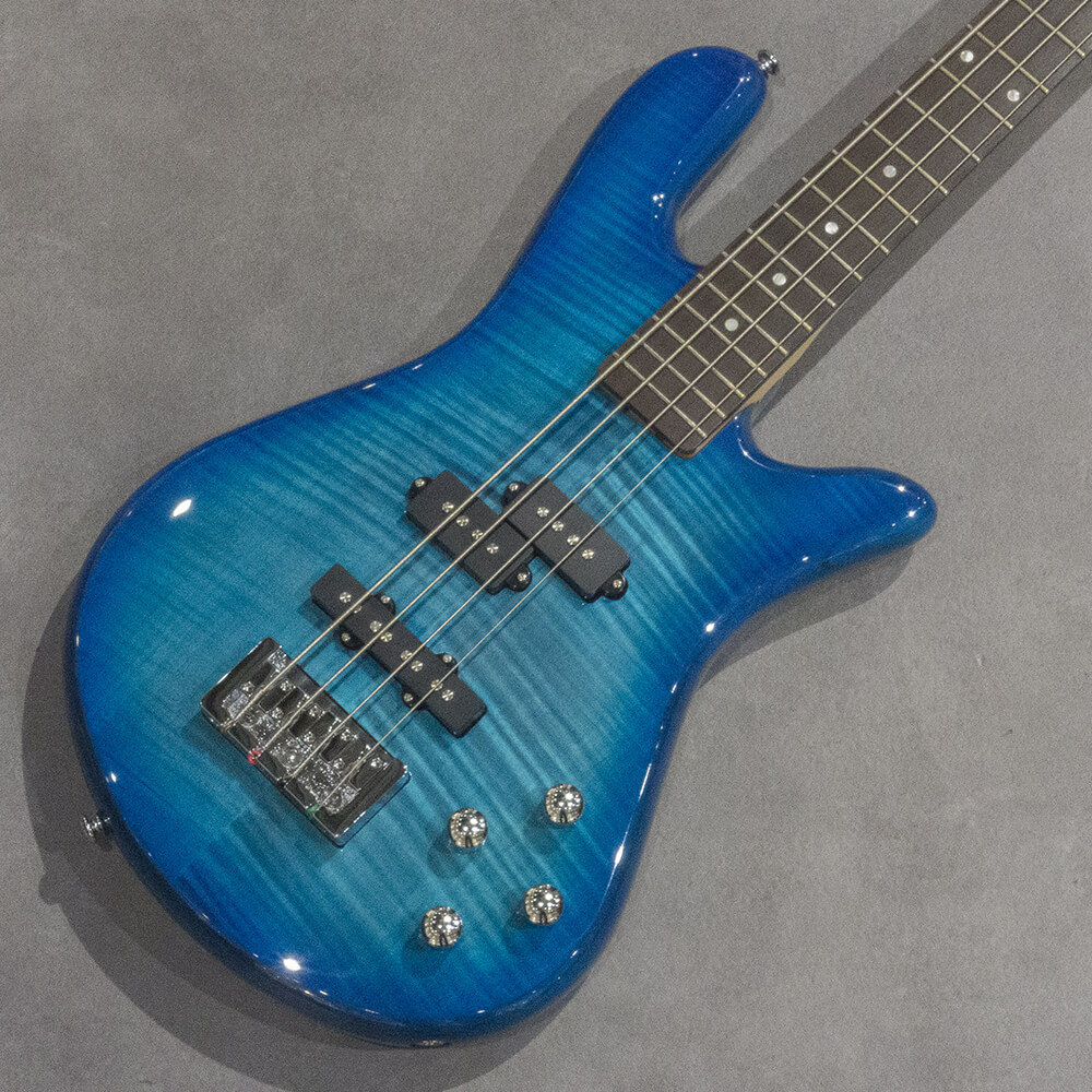 Spector <br> Legend 4 Standard Blue Stain Gloss