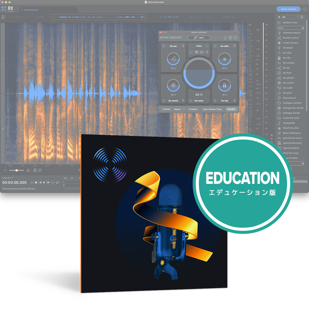 iZotope <br>RX 10 Advanced EDU