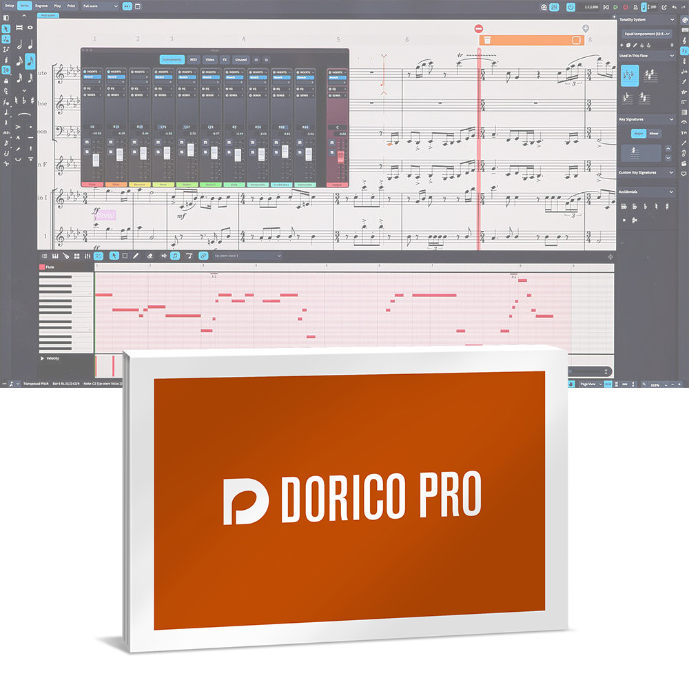 Steinberg <br>Dorico Pro 5 ʏ (DORICO PRO /R)