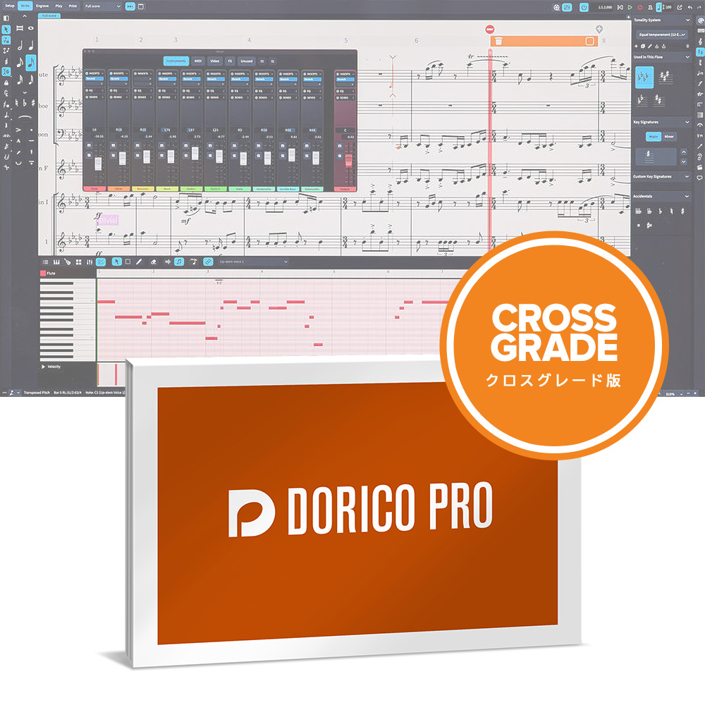 Steinberg <br>Dorico Pro 5 NXO[h ʏ (DORICO PRO CG /R)