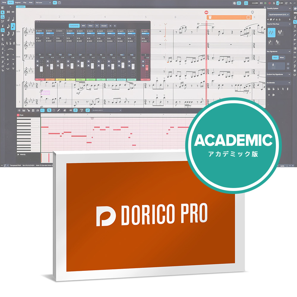 Steinberg <br>Dorico Pro 5 AJf~bN (DORICO PRO /E)