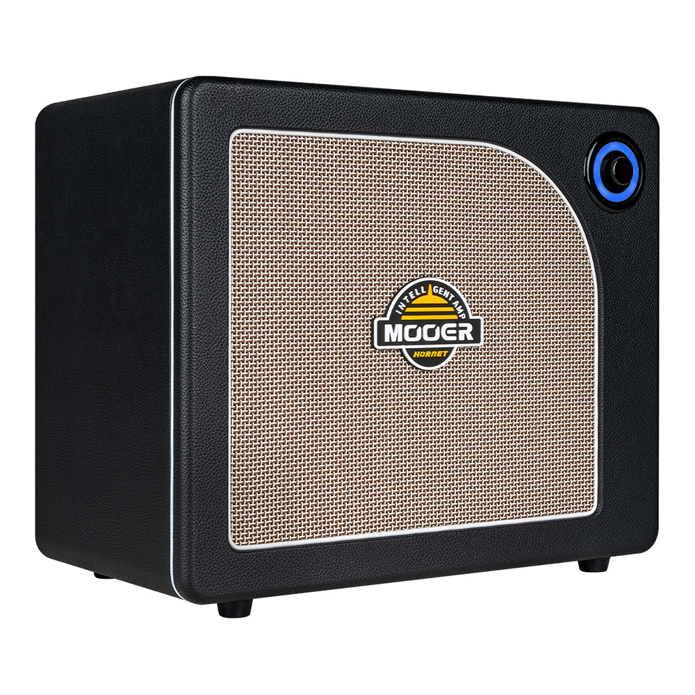 MOOER <br>Hornet 30i Black