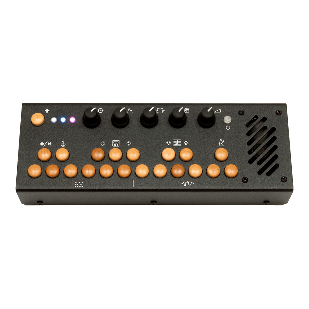 Critter & Guitari <br>201 Pocket Piano (Black)