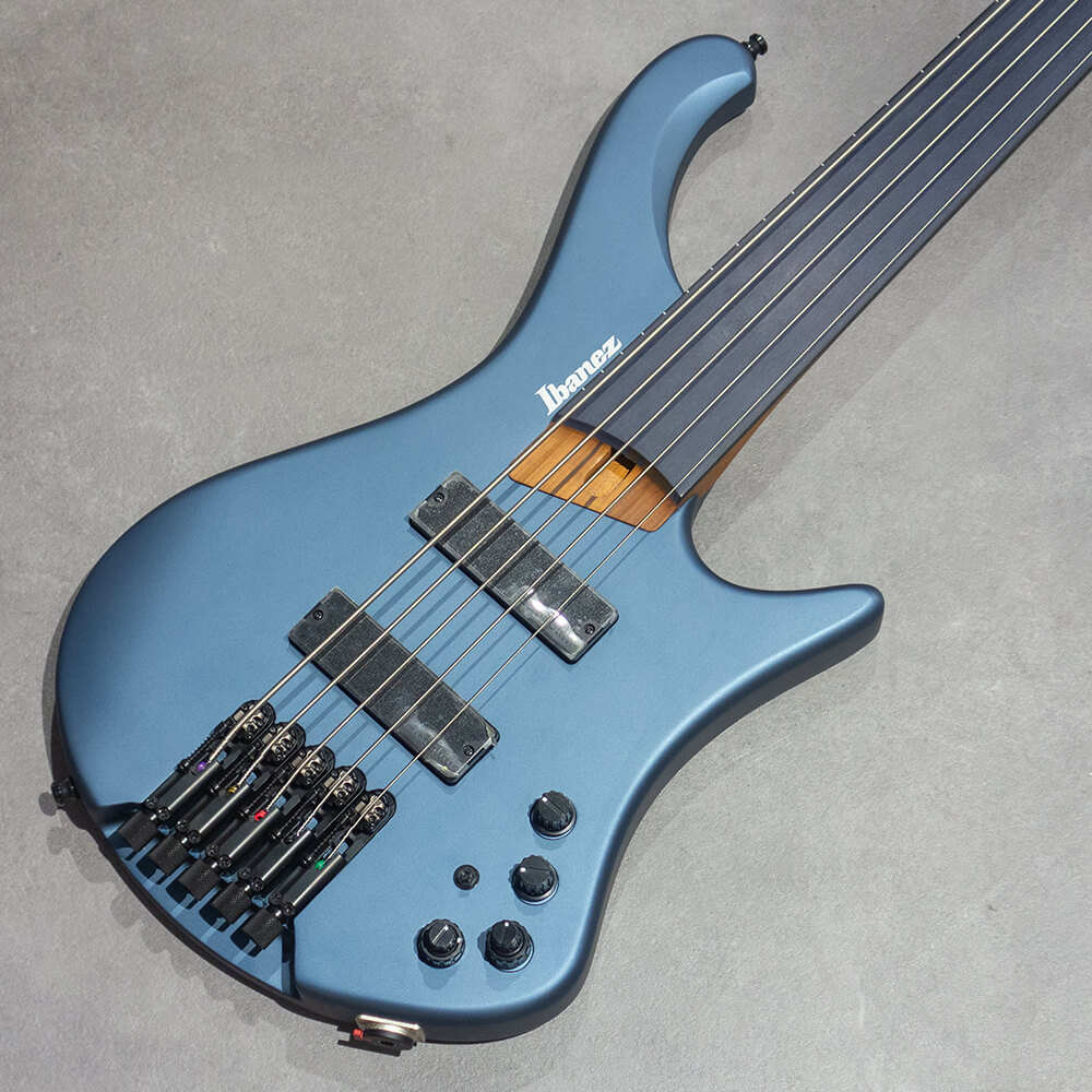 Ibanez <br>EHB Workshop EHB1005F-AOM (Arctic Ocean Matte)