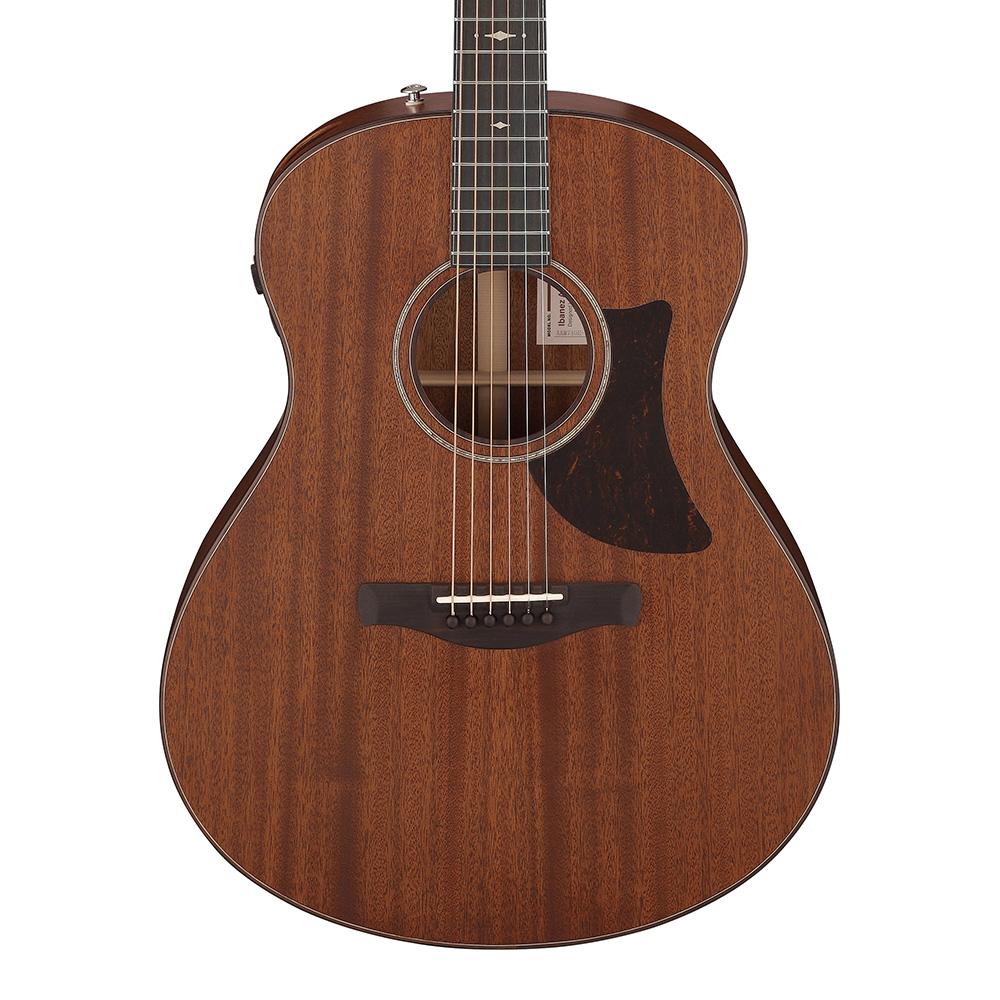 Ibanez <br>Advanced Acoustic Auditorium AAM740E-LG (Natural Low Gloss)