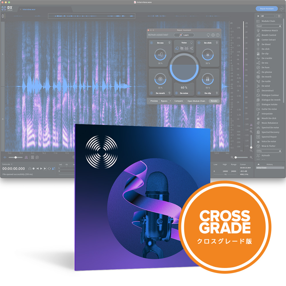 iZotope <br>RX 10 Standard Crossgrade From Product owners (including Elements)