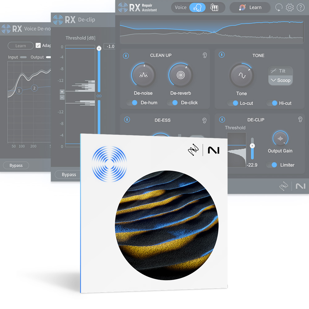 iZotope <br>RX 11 Elements