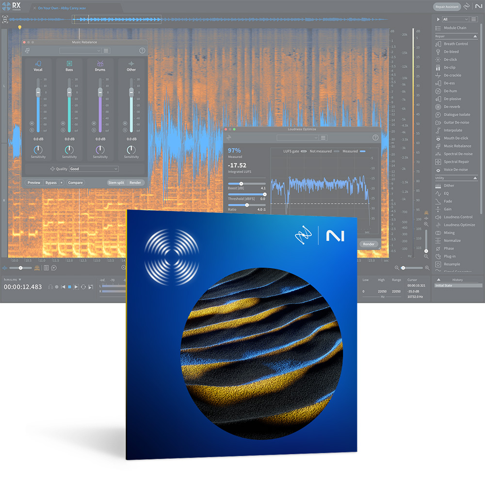 iZotope <br>RX 11 Standard