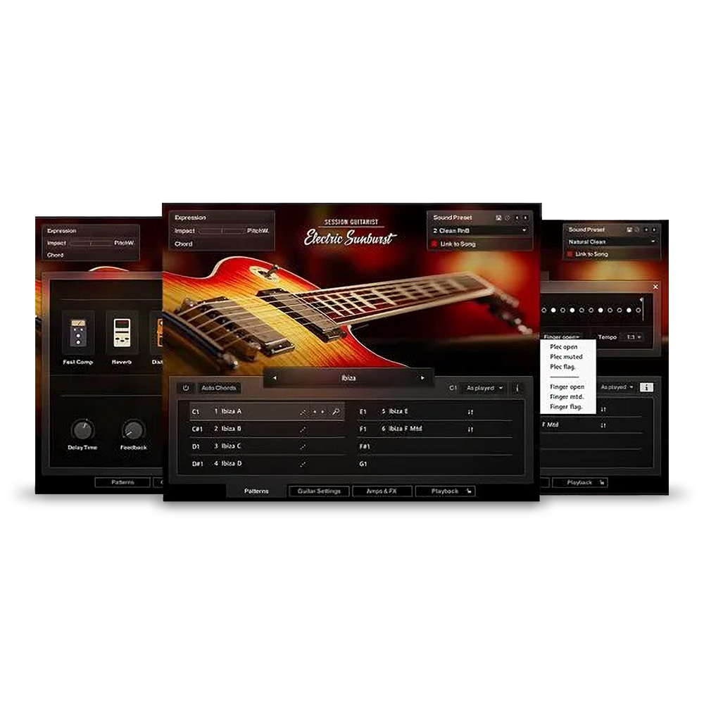 Native Instruments <br>Session Guitarist - Electric Sunburst