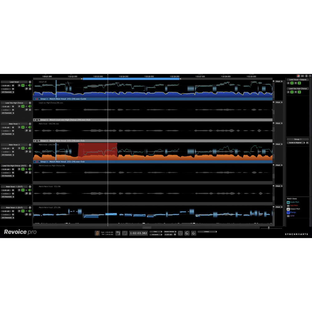 Synchro Arts <br>Revoice Pro 5 [RVP5]