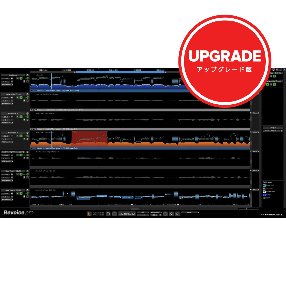 Synchro Arts <br>Revoice Pro 5 Upgrade [RVP5-UG]