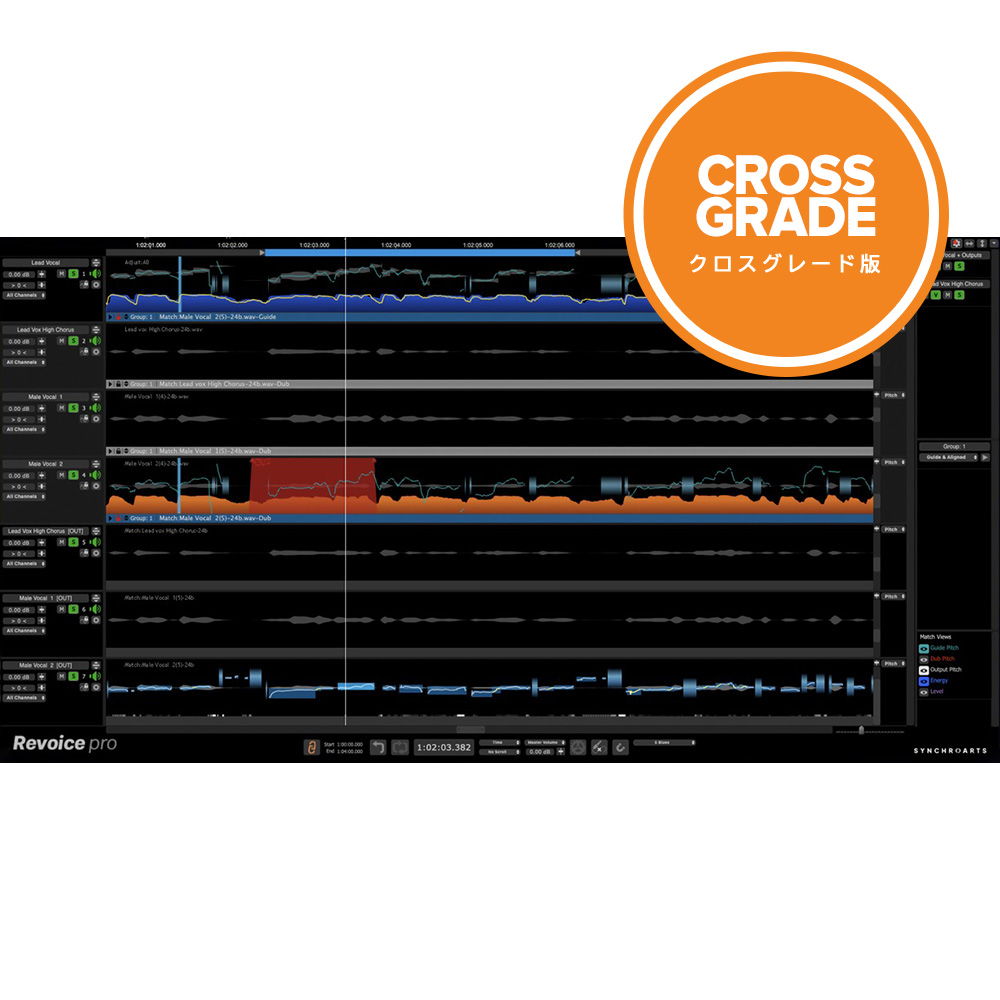 Synchro Arts <br>Revoice Pro 5 Crossgrade [RVP5-XG]
