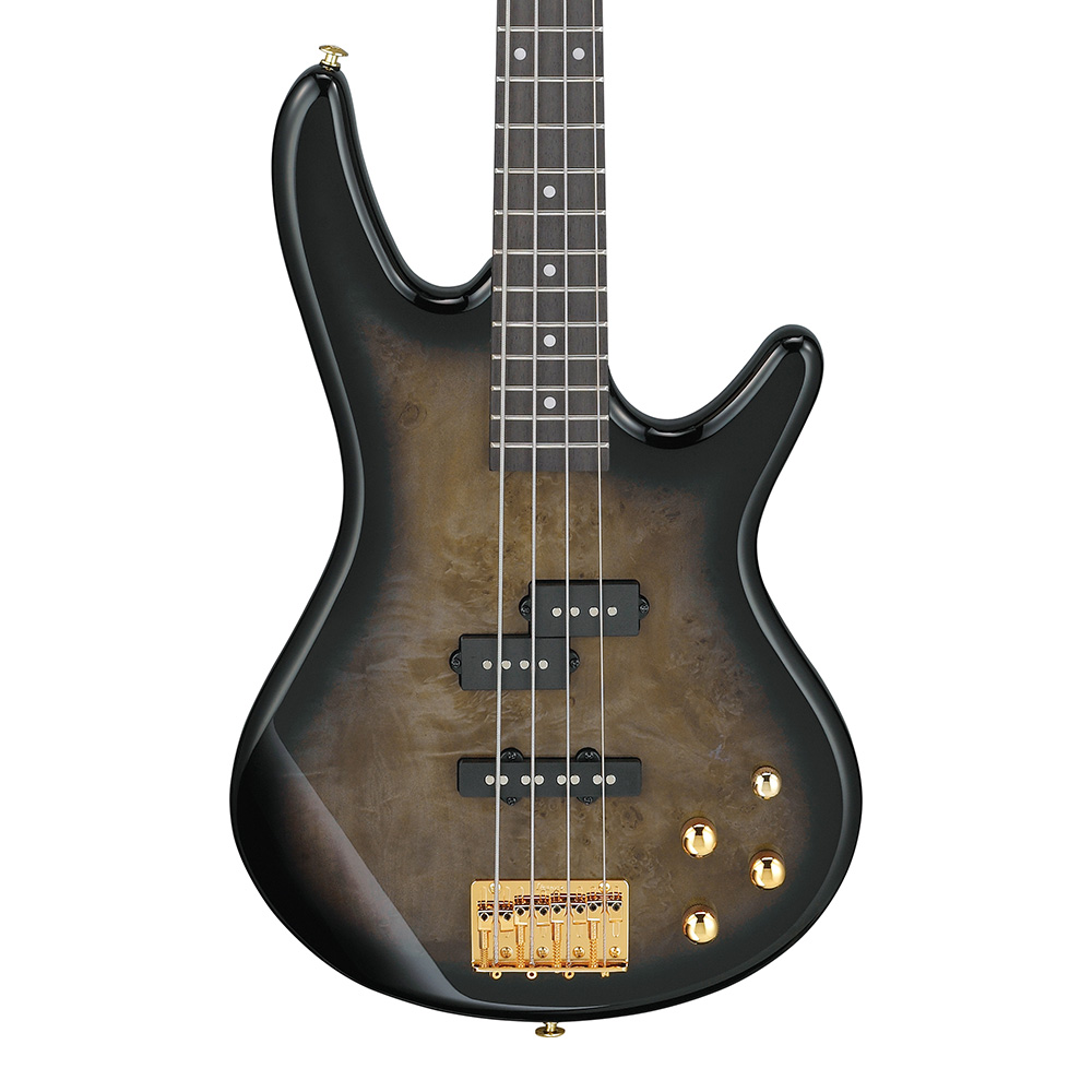 Ibanez <br>Gio GSR200PC-TPB (Transparent Pale Black Burst)