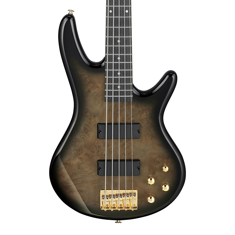 Ibanez <br>Gio GSR205PC-TPB (Transparent Pale Black Burst)