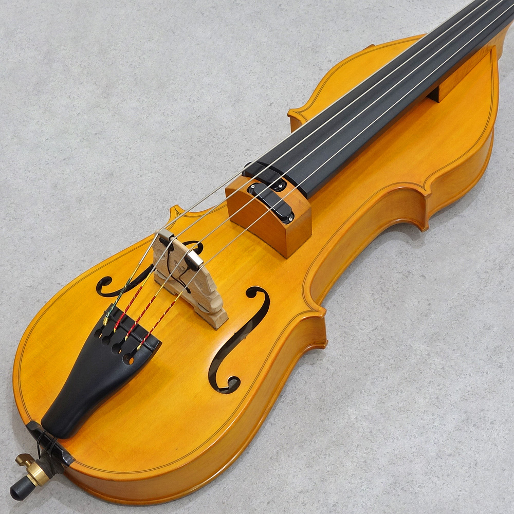 Landscape <br>SWB-GAMBA AMBER