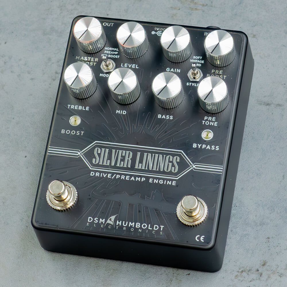 DSM & HUMBOLDT ELECTRONICS <br>Silver Linings
