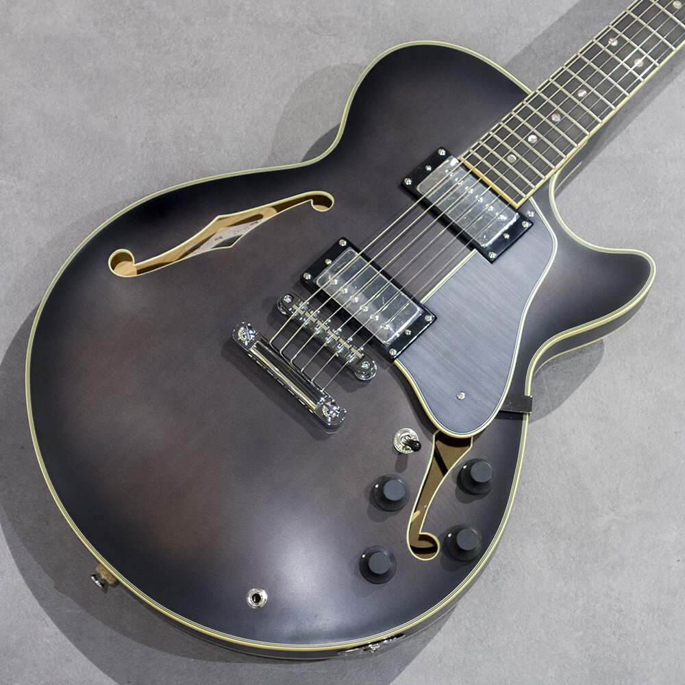 Landscape <br> SA-102S DSBK