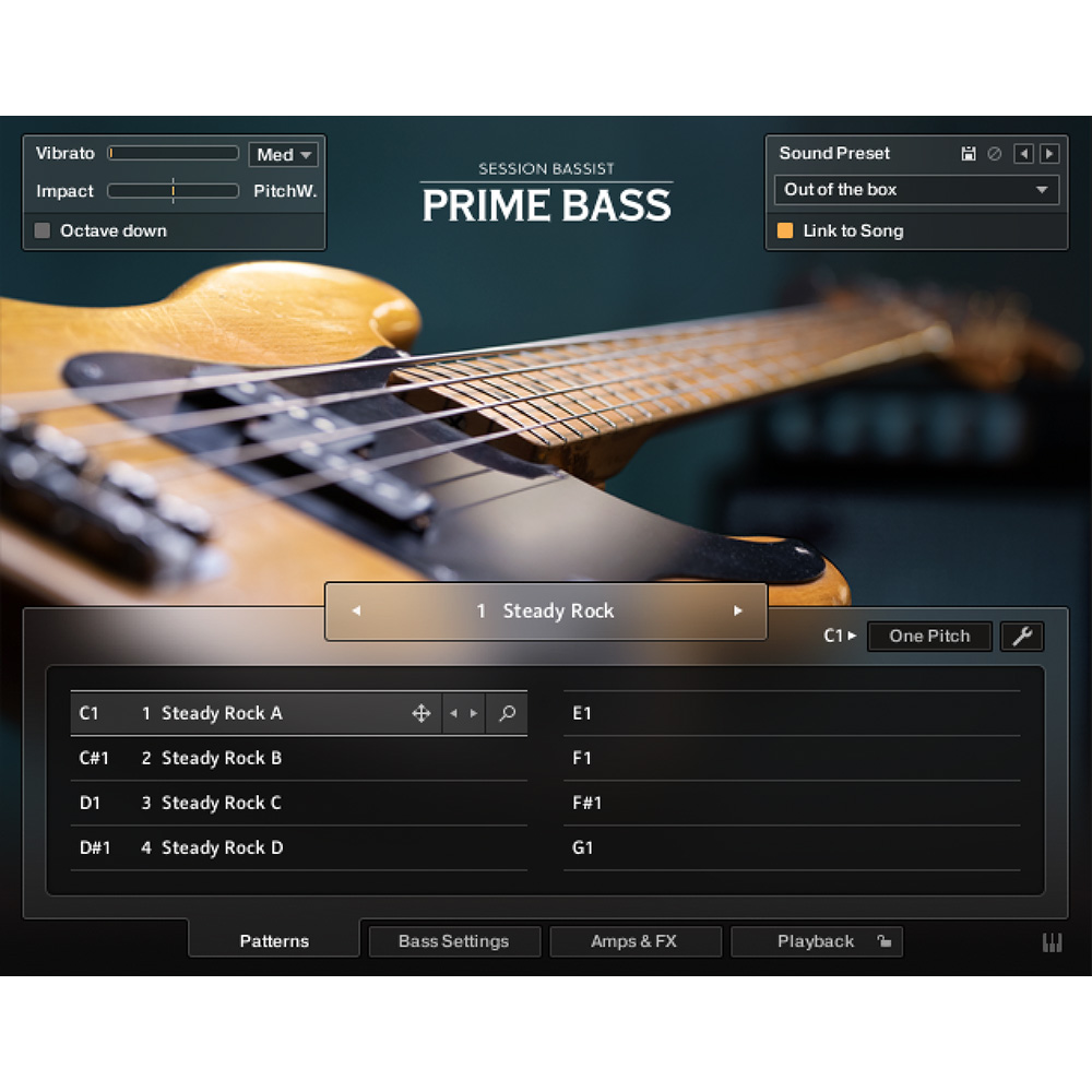 Native Instruments <br>Session Bassist - Prime Bass