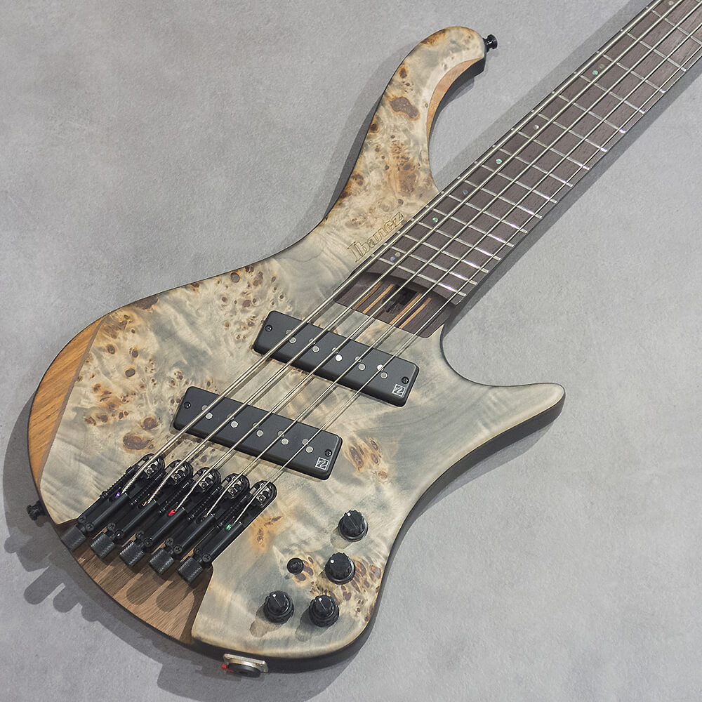 Ibanez <br>EHB Workshop EHB1505MS-BIF (Black Ice Flat)