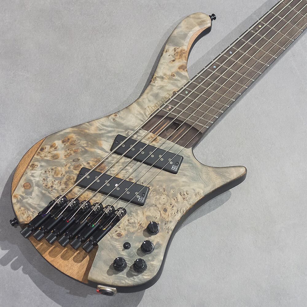 Ibanez <br>EHB Workshop EHB1506MS-BIF (Black Ice Flat)