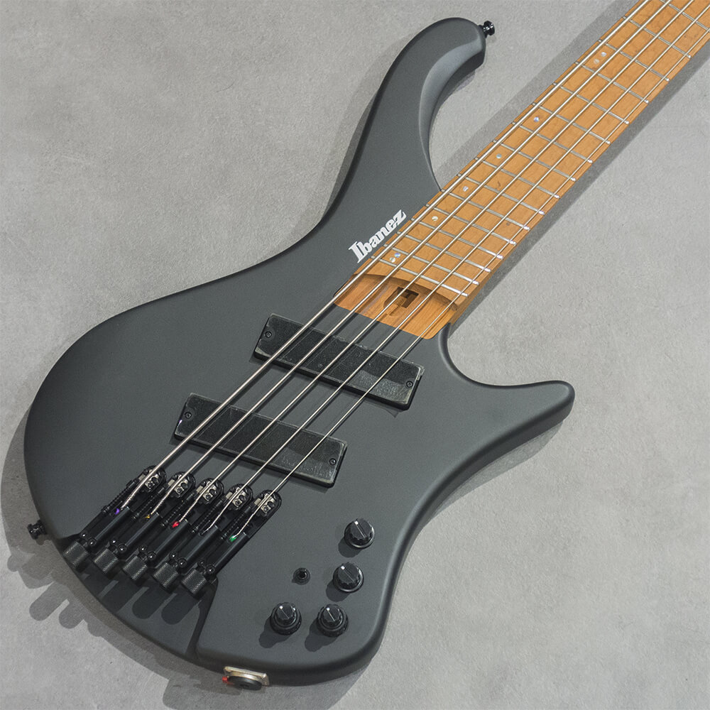 Ibanez <br>EHB Workshop EHB1005MS-BKF (Black Flat)