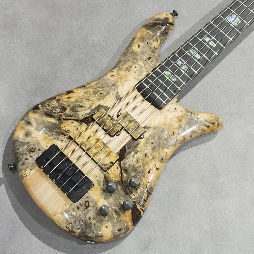 Spector <br>USA Custom Shop NS-5 BEB/BW M/EB EMG P/40DC Natural High Gloss