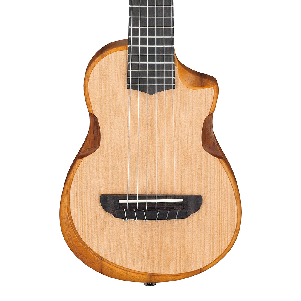 Ibanez <br>AUP10N-OPN (Open Pore Natural)