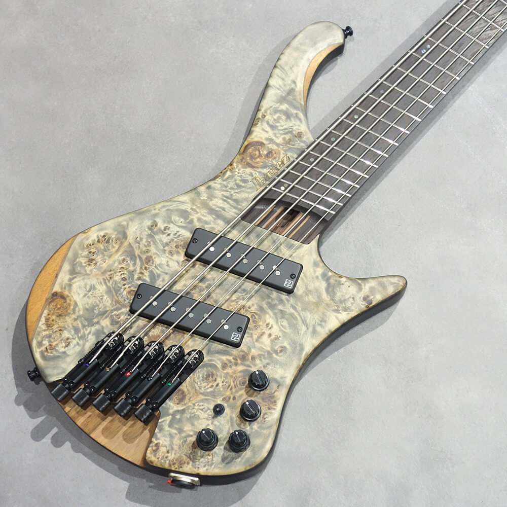 Ibanez <br>EHB Workshop EHB1505MS-BIF (Black Ice Flat)