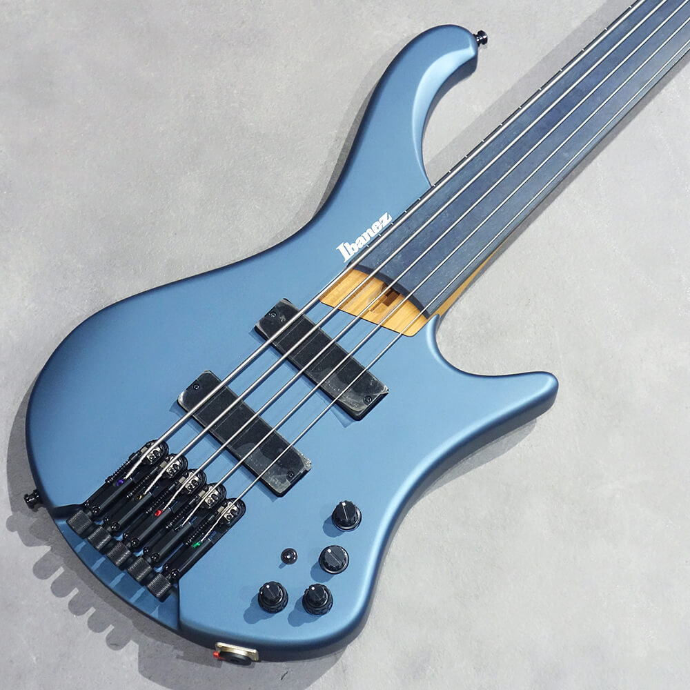 Ibanez <br>EHB Workshop EHB1005F-AOM (Arctic Ocean Matte)