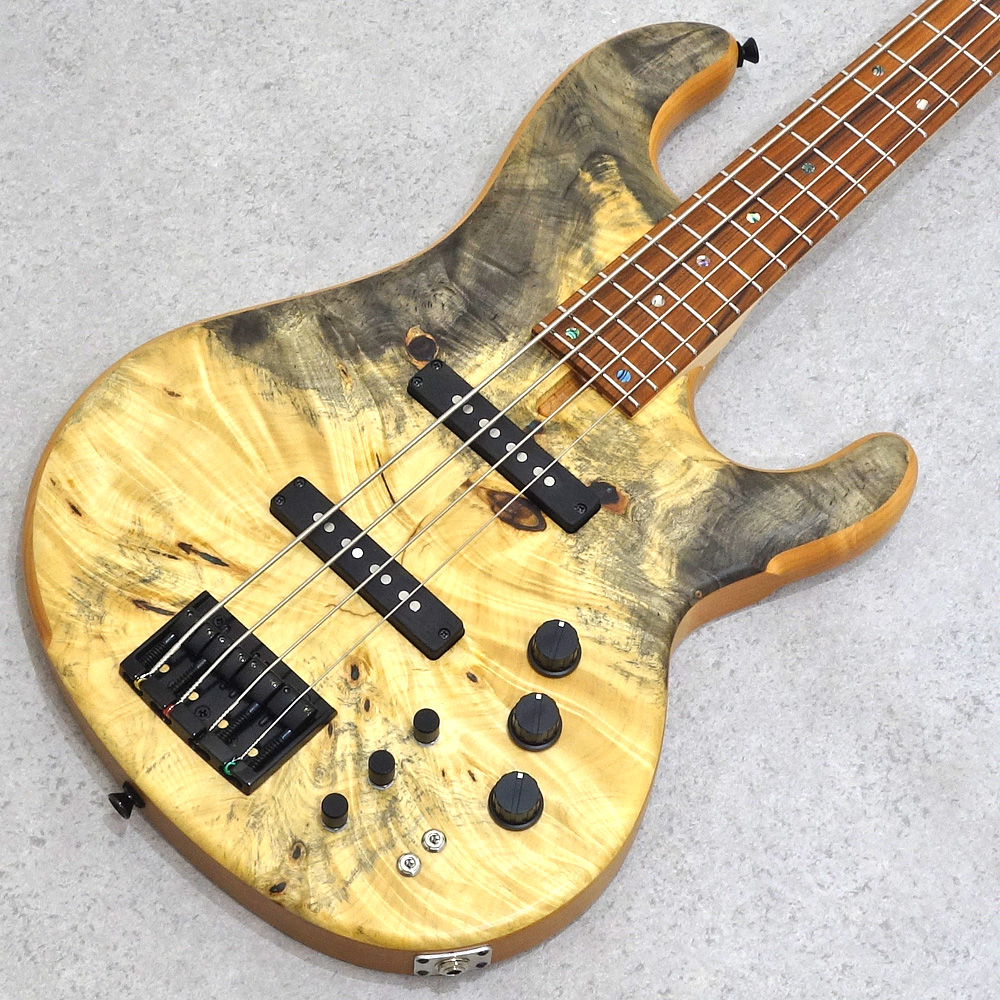 dragonfly <br>CS4 Custom Buckeye Burl/Alder Blue Resin