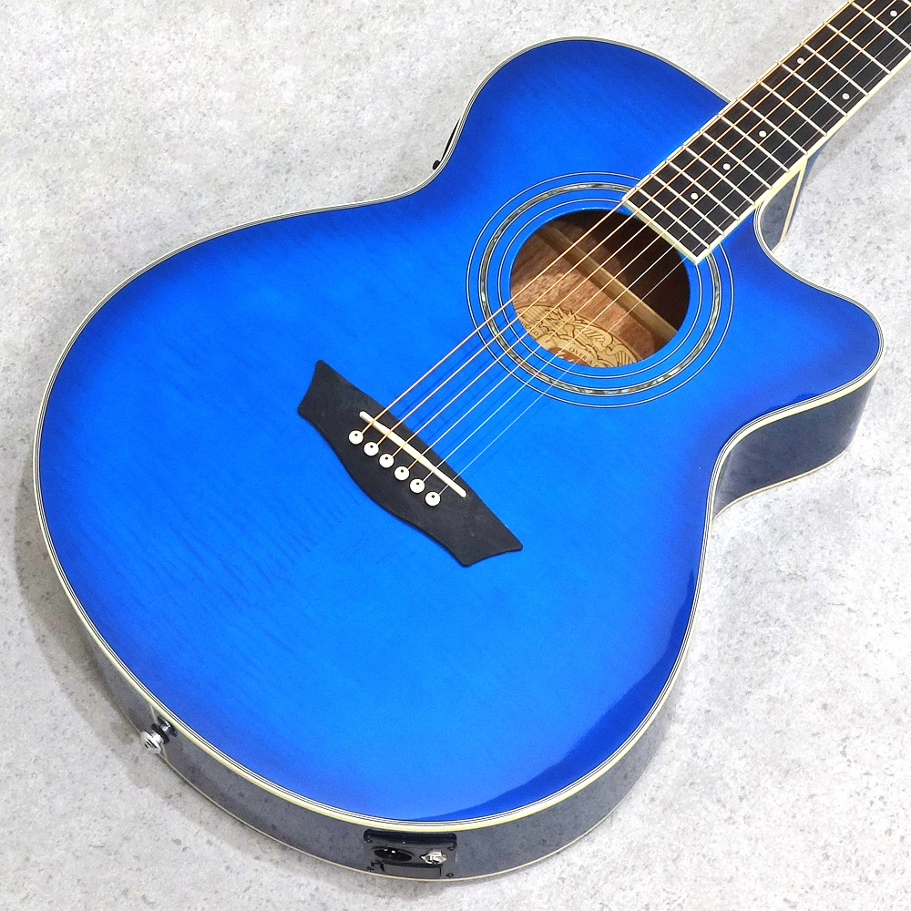 Washburn <br>EA15TBL-U