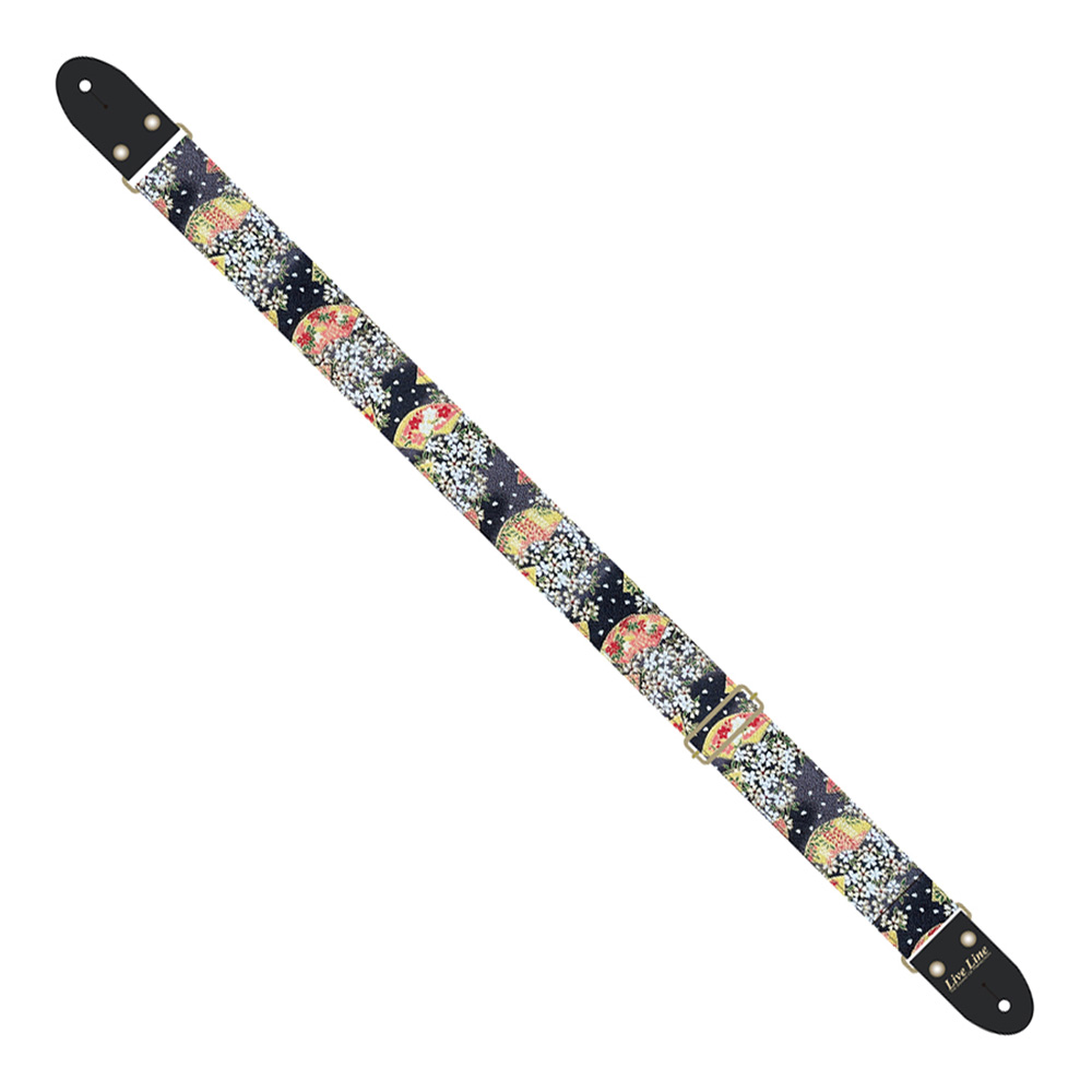 Live Line <br>LS2400OG2 a 2/߂񕗑f